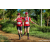 Team 49 / Raid Amazones Sri Lanka 2023 - J1 Trail