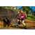 Team 07 / Raid Amazones Sri Lanka 2023 - J1 Trail