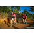 Team 304 / Raid Amazones Sri Lanka 2023 - J1 Trail