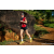 Team 301 / Raid Amazones Sri Lanka 2023 - J1 Trail