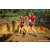 Team 41 / Raid Amazones Sri Lanka 2023 - J1 Trail