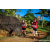 Team 74 / Raid Amazones Sri Lanka 2023 - J1 Trail