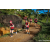 Team 331 / Raid Amazones Sri Lanka 2023 - J1 Trail