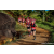 Team 317 / Raid Amazones Sri Lanka 2023 - J1 Trail