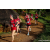 Team 321 / Raid Amazones Sri Lanka 2023 - J1 Trail