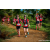 Team 51 / Raid Amazones Sri Lanka 2023 - J1 Trail