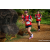 Team 307 / Raid Amazones Sri Lanka 2023 - J1 Trail