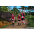 Team 303 / Raid Amazones Sri Lanka 2023 - J1 Trail