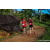 Team 09 / Raid Amazones Sri Lanka 2023 - J1 Trail