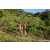 Team 07 / Raid Amazones Sri Lanka 2023 - J1 Trail