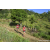 Team 33 / Raid Amazones Sri Lanka 2023 - J1 Trail