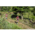 Team 10 / Raid Amazones Sri Lanka 2023 - J1 Trail