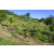 Team 302 / Raid Amazones Sri Lanka 2023 - J1 Trail