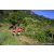 Team 03 / Raid Amazones Sri Lanka 2023 - J1 Trail