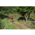 Team 41 / Raid Amazones Sri Lanka 2023 - J1 Trail