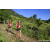 Team 41 / Raid Amazones Sri Lanka 2023 - J1 Trail