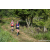 Team 26 / Raid Amazones Sri Lanka 2023 - J1 Trail