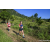 Team 26 / Raid Amazones Sri Lanka 2023 - J1 Trail