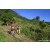 Team 73 / Raid Amazones Sri Lanka 2023 - J1 Trail