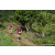 Team 55 / Raid Amazones Sri Lanka 2023 - J1 Trail