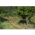 Team 20 / Raid Amazones Sri Lanka 2023 - J1 Trail
