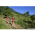 Team 20 / Raid Amazones Sri Lanka 2023 - J1 Trail
