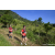 Team 20 / Raid Amazones Sri Lanka 2023 - J1 Trail