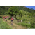 Team 322 / Raid Amazones Sri Lanka 2023 - J1 Trail