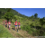 Team 81 / Raid Amazones Sri Lanka 2023 - J1 Trail