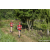 Team 14 / Raid Amazones Sri Lanka 2023 - J1 Trail