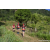 Team 324 / Raid Amazones Sri Lanka 2023 - J1 Trail