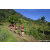 Team 324 / Raid Amazones Sri Lanka 2023 - J1 Trail