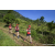 Team 324 / Raid Amazones Sri Lanka 2023 - J1 Trail