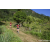 Team 22 / Raid Amazones Sri Lanka 2023 - J1 Trail
