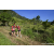 Team 22 / Raid Amazones Sri Lanka 2023 - J1 Trail