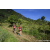 Team 69 / Raid Amazones Sri Lanka 2023 - J1 Trail