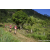 Team 38 / Raid Amazones Sri Lanka 2023 - J1 Trail