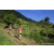 Team 38 / Raid Amazones Sri Lanka 2023 - J1 Trail