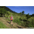 Team 38 / Raid Amazones Sri Lanka 2023 - J1 Trail