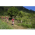 Team 330 / Raid Amazones Sri Lanka 2023 - J1 Trail