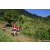 Team 13 / Raid Amazones Sri Lanka 2023 - J1 Trail
