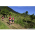 Team 13 / Raid Amazones Sri Lanka 2023 - J1 Trail