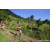 Team 63 / Raid Amazones Sri Lanka 2023 - J1 Trail