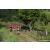 Team 74 / Raid Amazones Sri Lanka 2023 - J1 Trail