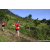 Team 74 / Raid Amazones Sri Lanka 2023 - J1 Trail