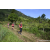 Team 47 / Raid Amazones Sri Lanka 2023 - J1 Trail