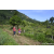 Team 333 / Raid Amazones Sri Lanka 2023 - J1 Trail
