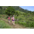 Team 17 / Raid Amazones Sri Lanka 2023 - J1 Trail