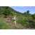 Team 17 / Raid Amazones Sri Lanka 2023 - J1 Trail