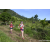 Team 17 / Raid Amazones Sri Lanka 2023 - J1 Trail
